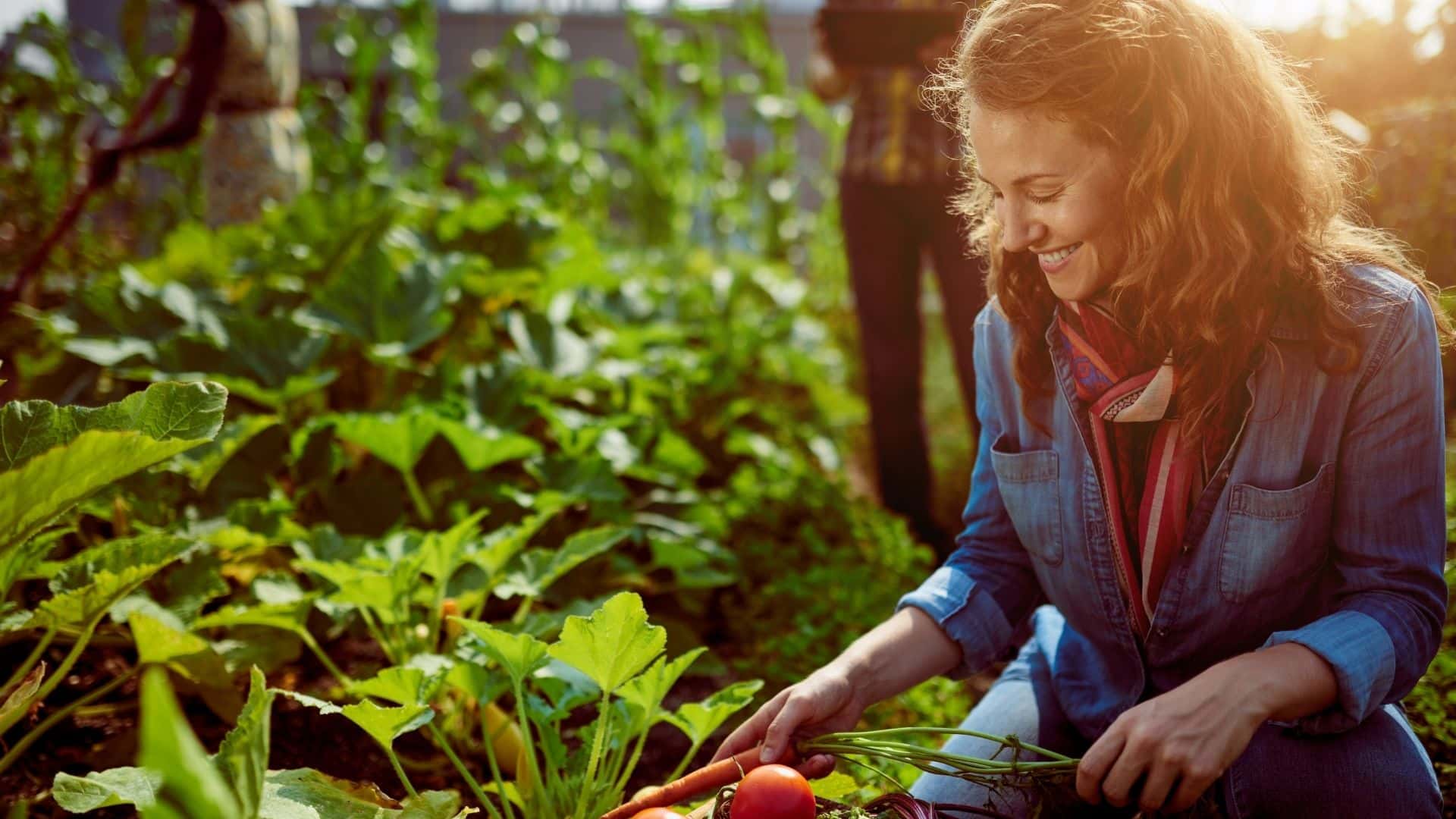 What Are the Most Popular Different Types of Gardening - 12 Ideas to Try