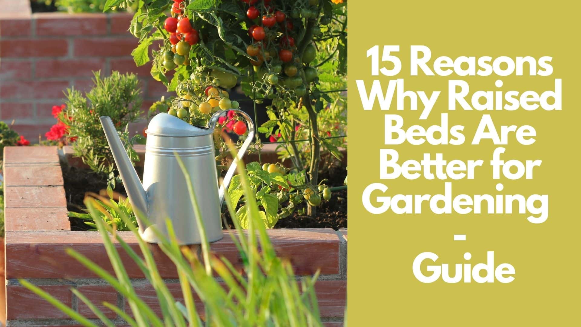 15 Reasons Why Raised Beds Are Better for Gardening | Guide