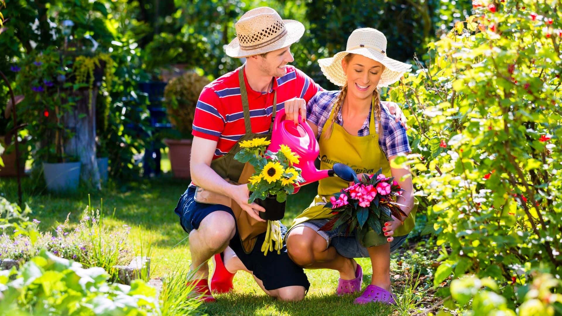 7 Proven Steps to Start a Flower Garden in the Ground Easily