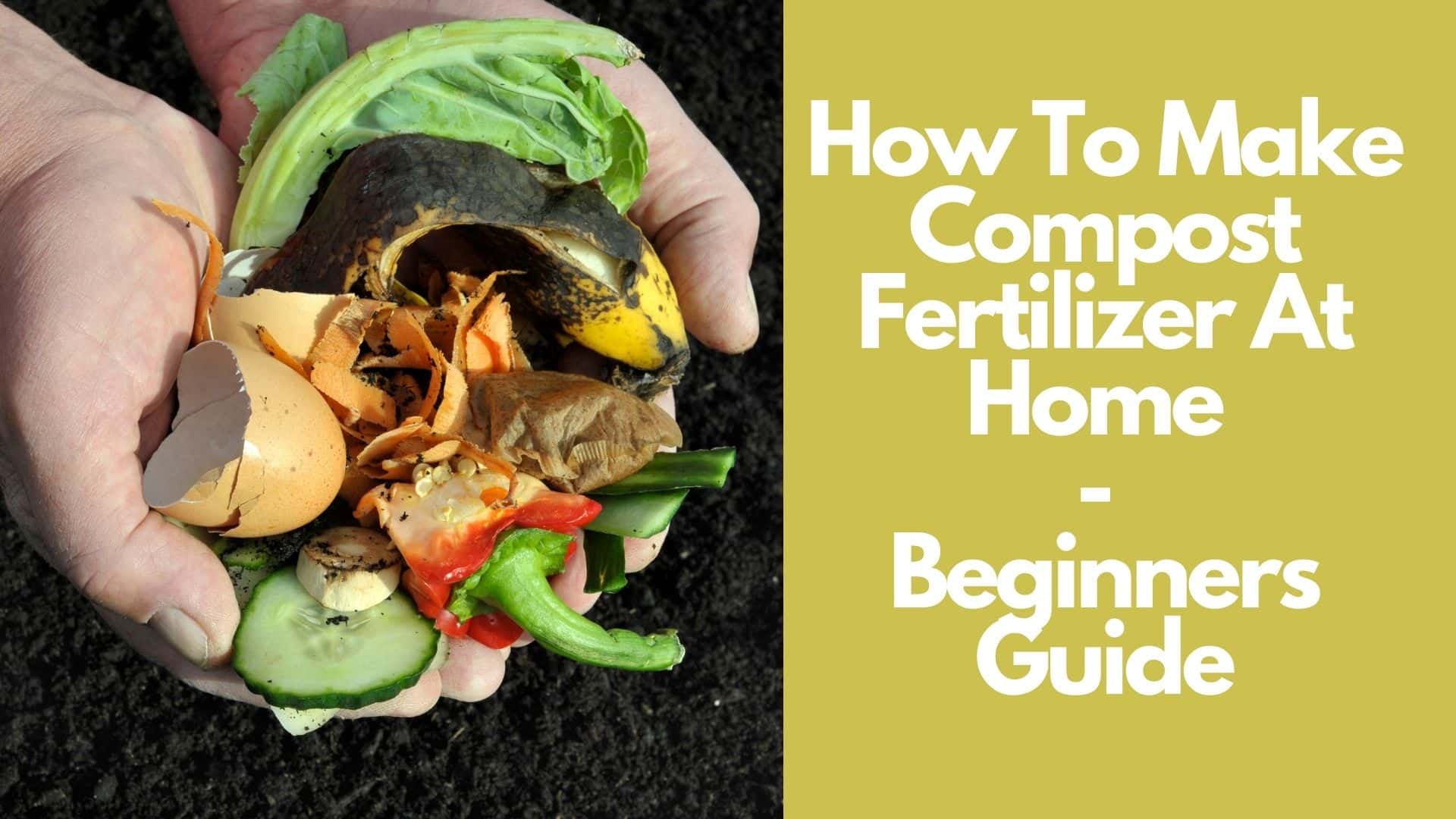 How To Make Compost Fertilizer At Home | Beginners Guide