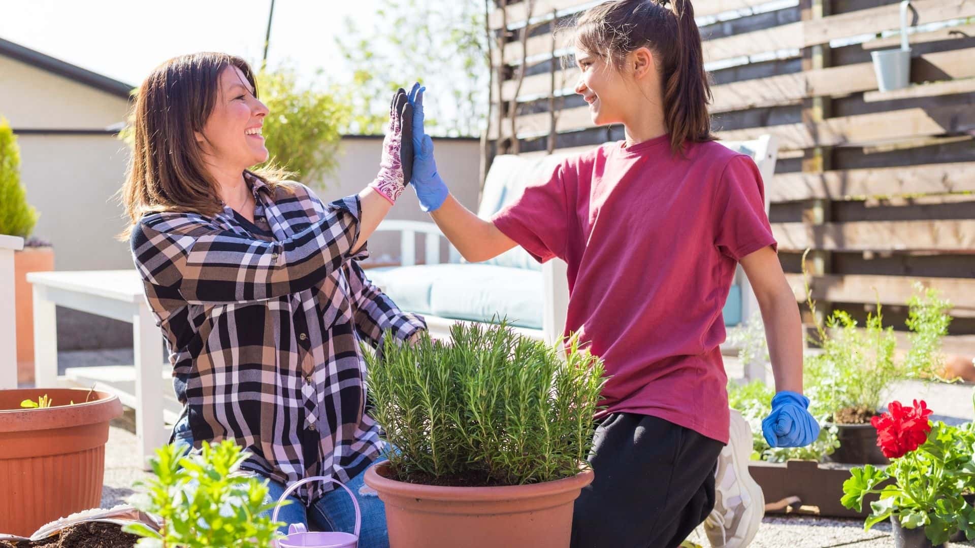 How To Make Your Own Terrace Garden At Home A Z Guide