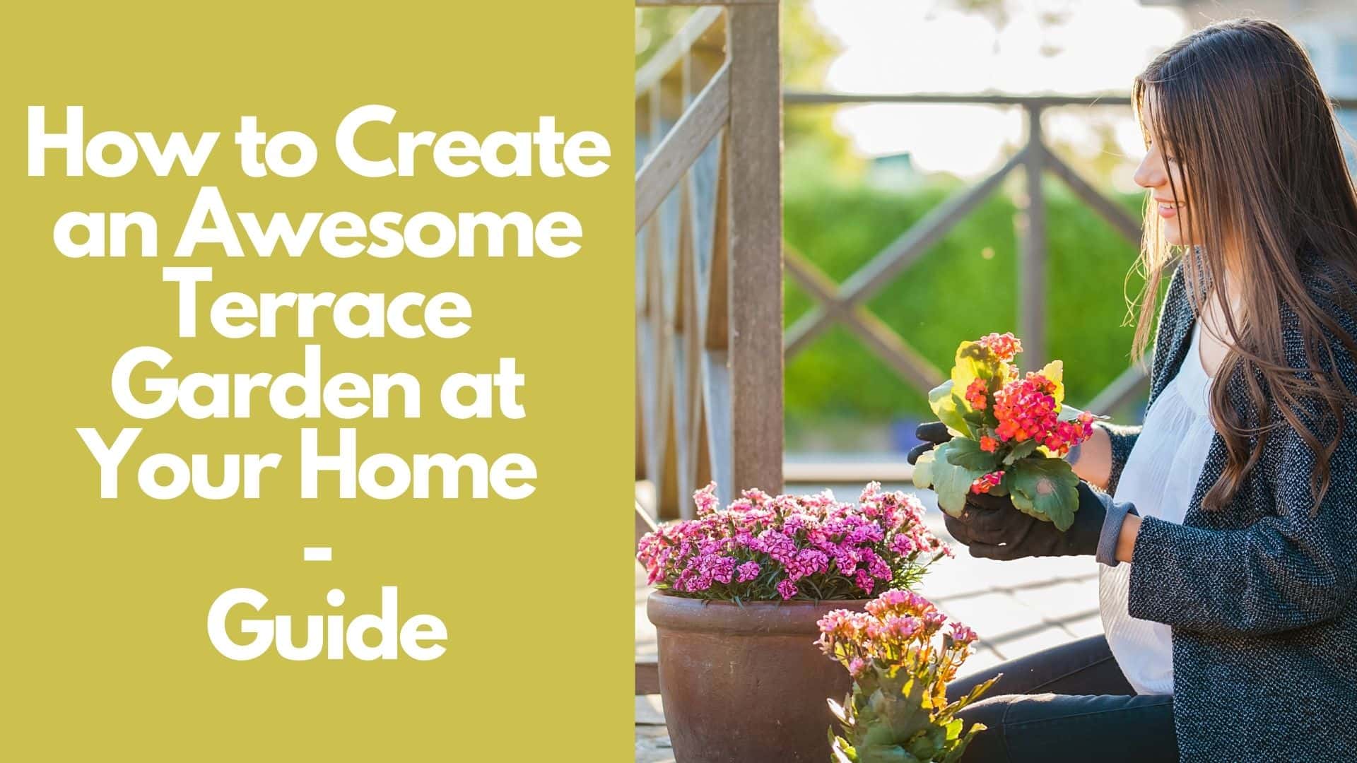 How to Make Your Own Terrace Garden at Home? | A - Z Guide