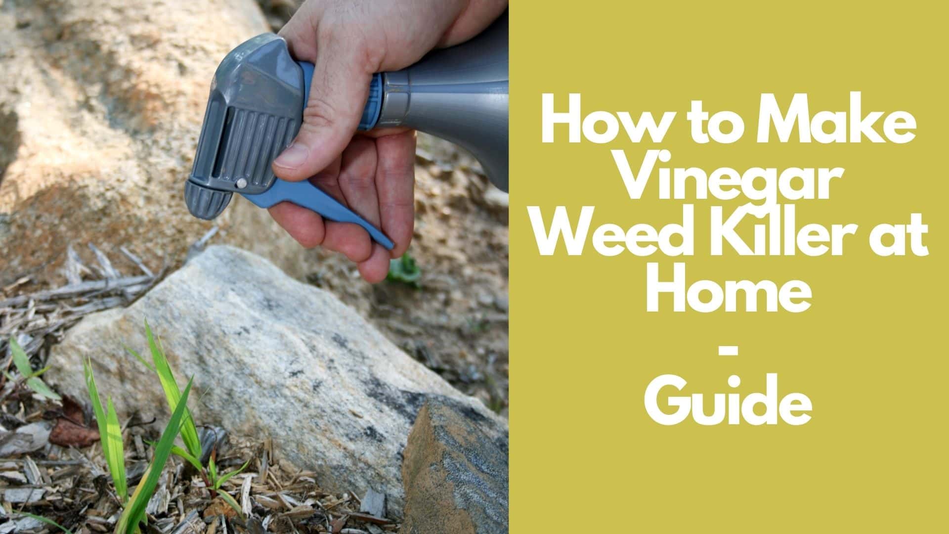 How to Make Vinegar Weed Killer at Home - Guide