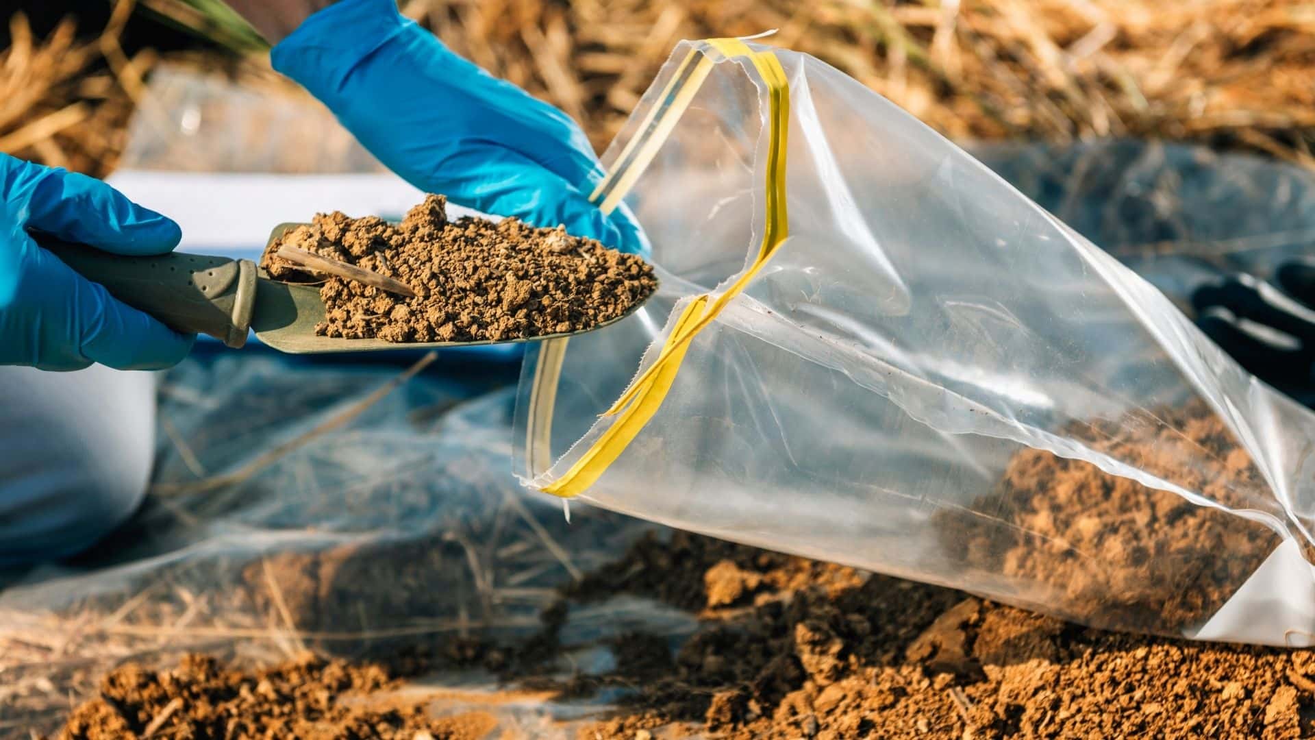 How to Test the Soil for a Healthy Garden | Guide