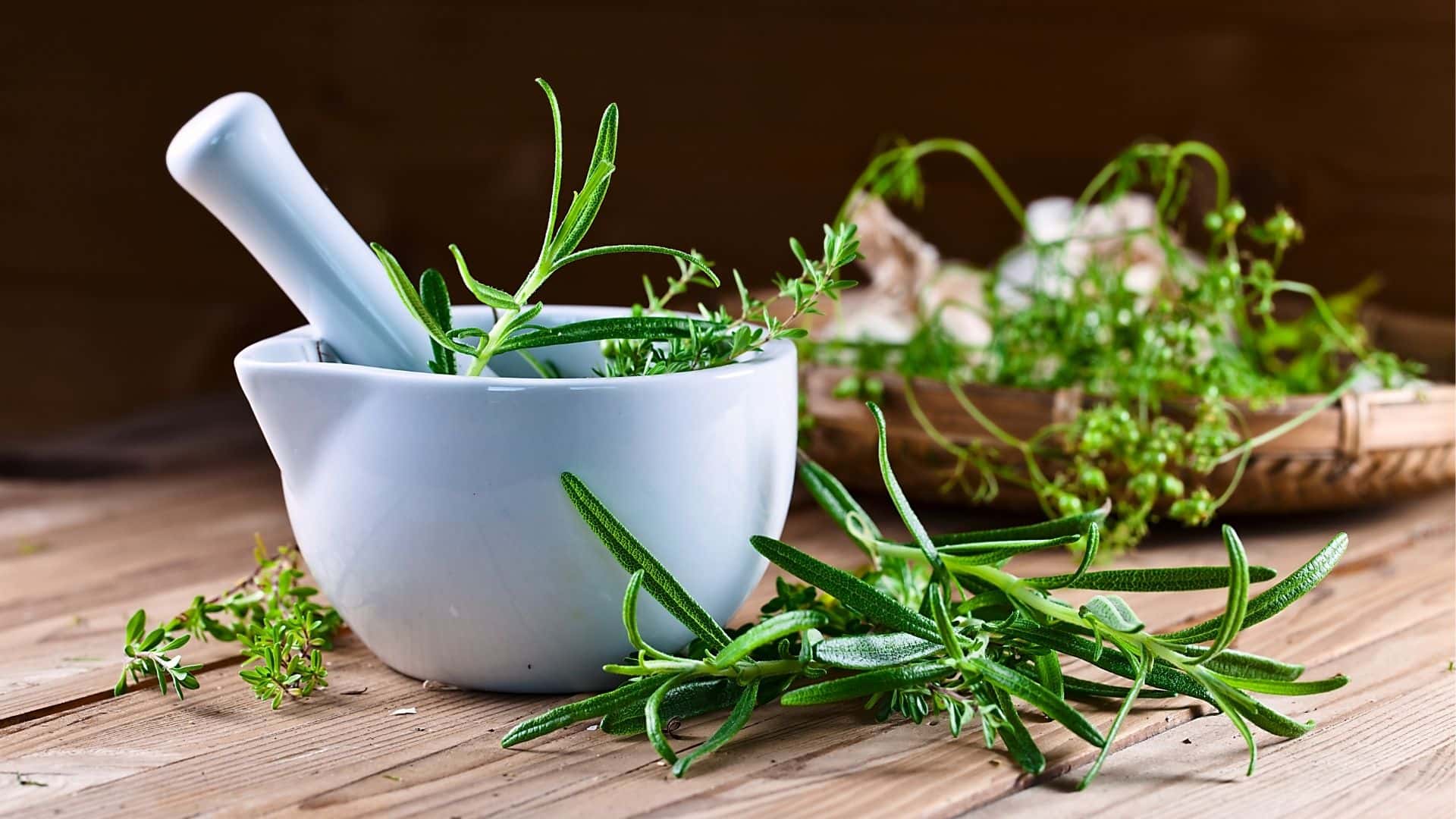 Top 15 Herbs to Grow Indoors for Cooking and Medicinal Uses