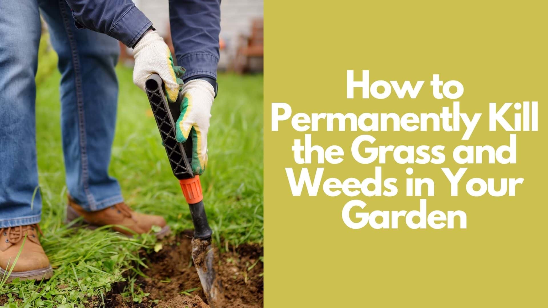 How to Permanently Kill the Grass and Weeds in Your Garden