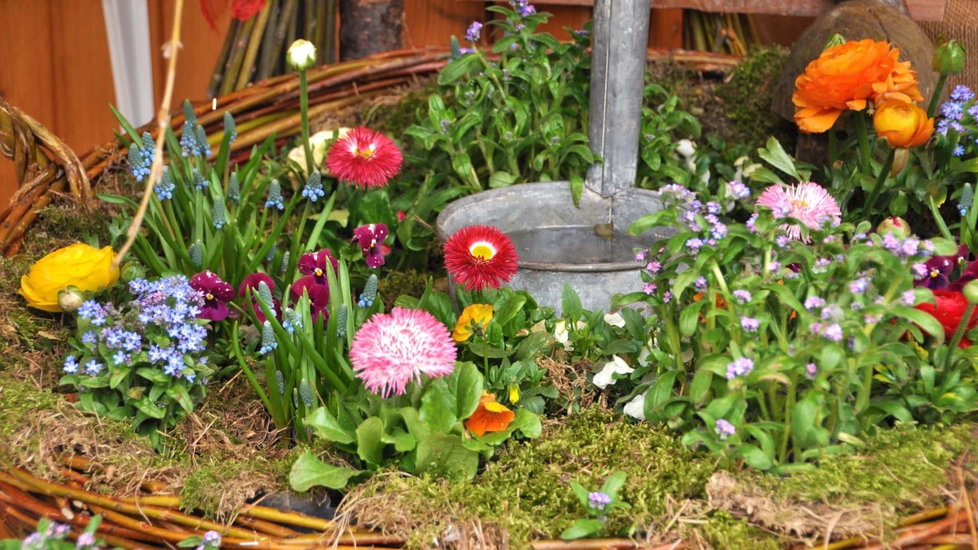 Simple Steps and Ideas to Create a Cottage Garden | Guide