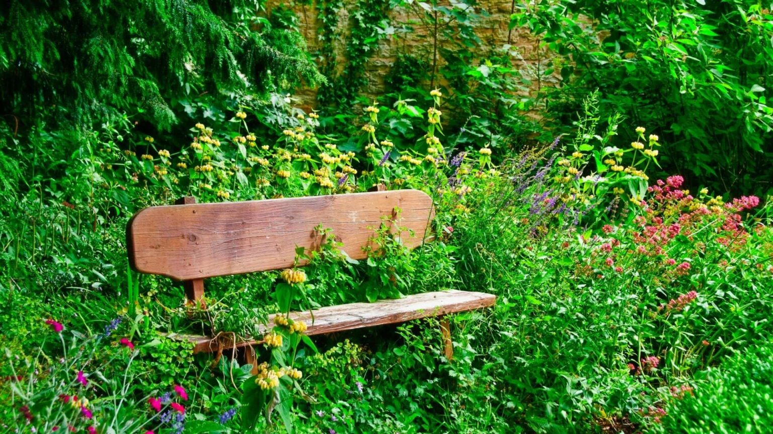 How Do I Fix a Flower Bed Overgrown with Grass AZ Guide