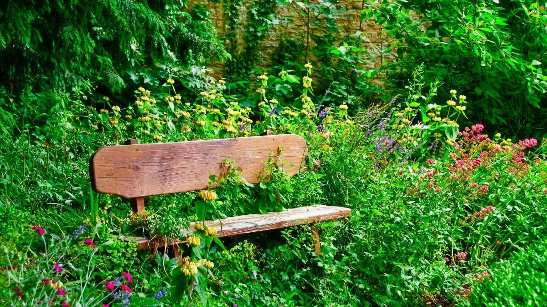 How Do I Fix a Flower Bed Overgrown with Grass AZ Guide