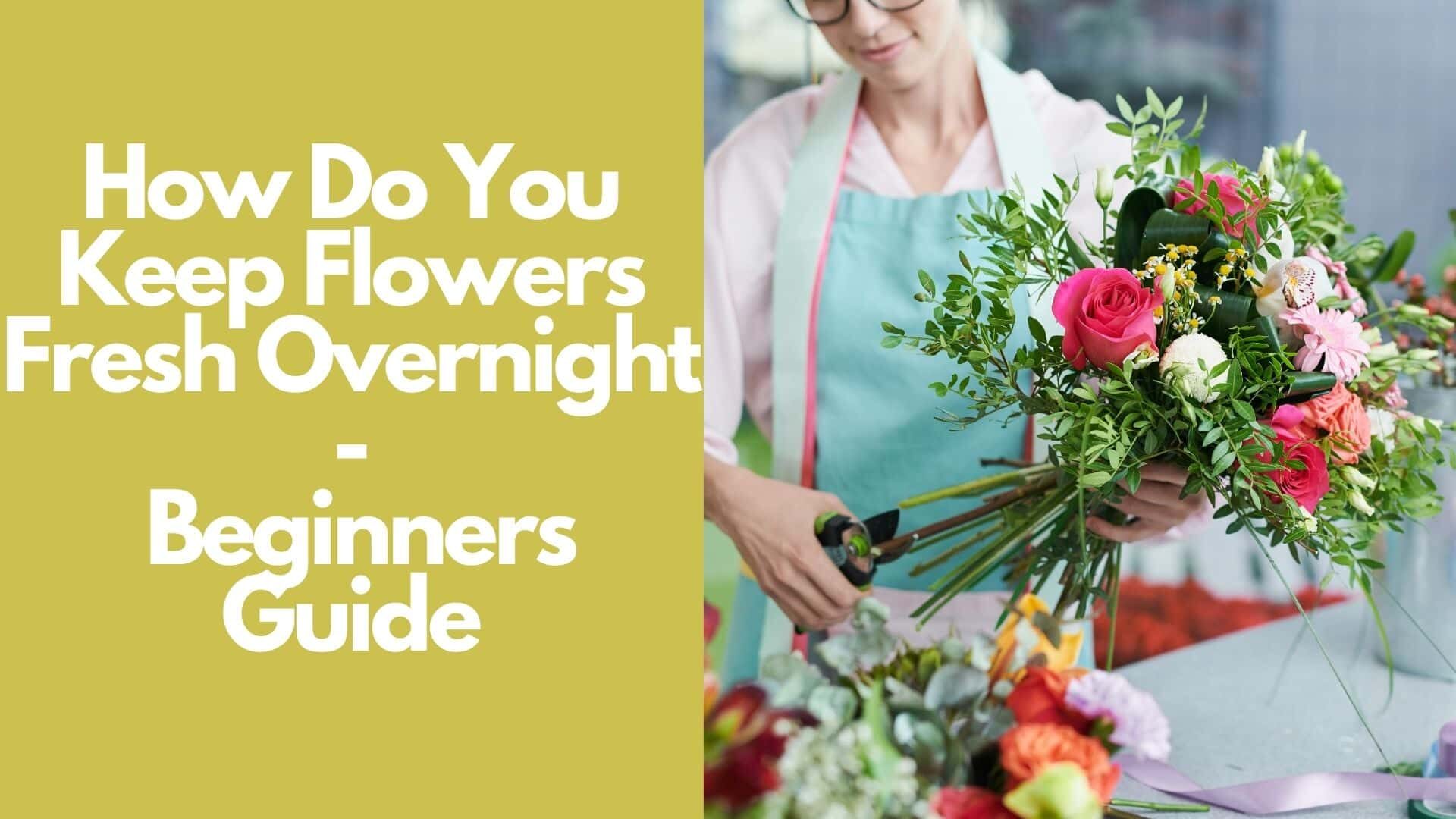 How Do You Keep Flowers Fresh Overnight: Beginners Guide 