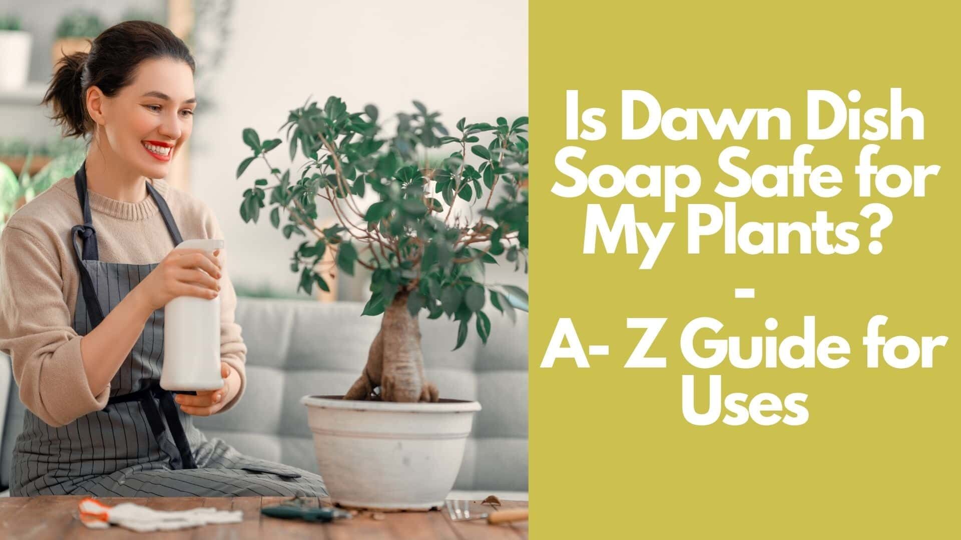 Is Dawn Dish Soap Safe for My Plants? | A- Z Guide for Uses