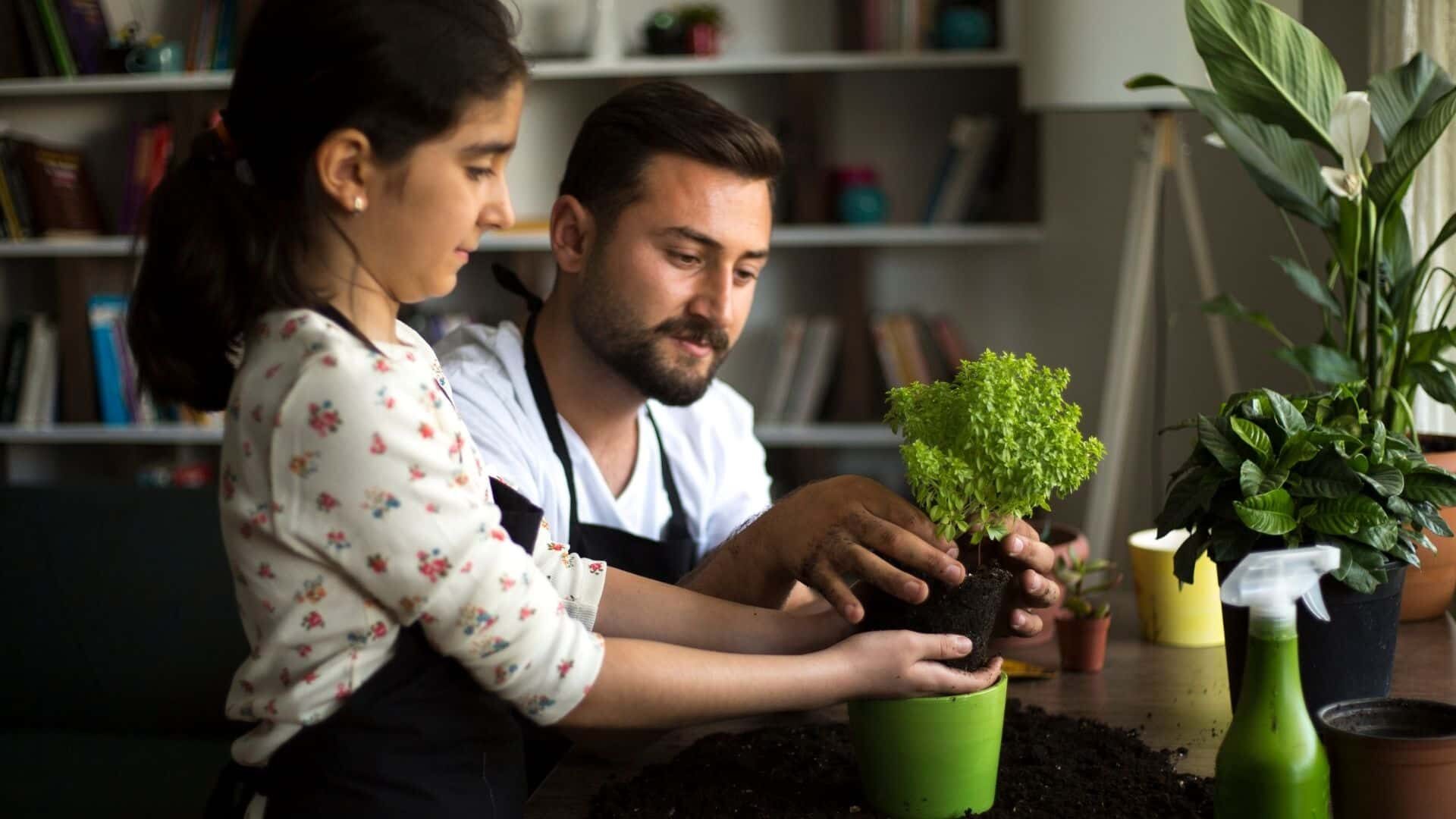 Is Dawn Dish Soap Safe for My Plants? | A- Z Guide for Uses