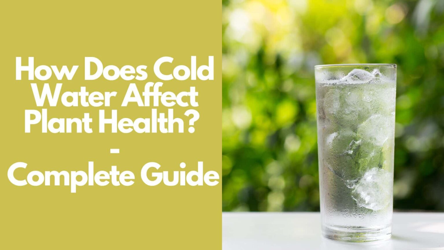 Can Cold Water Affect Kidneys