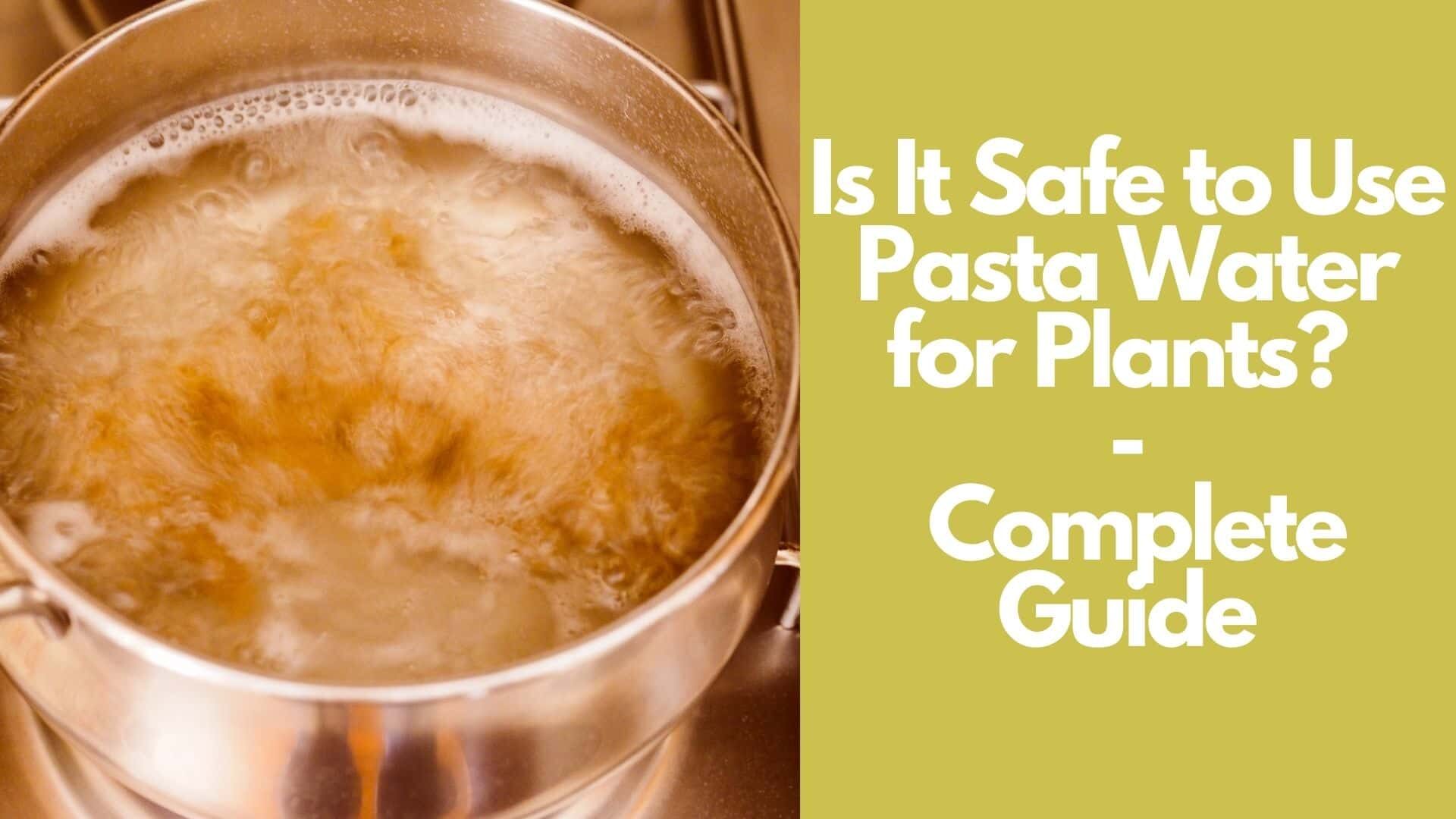 Is It Safe to Use Pasta Water for Plants? | Complete Guide