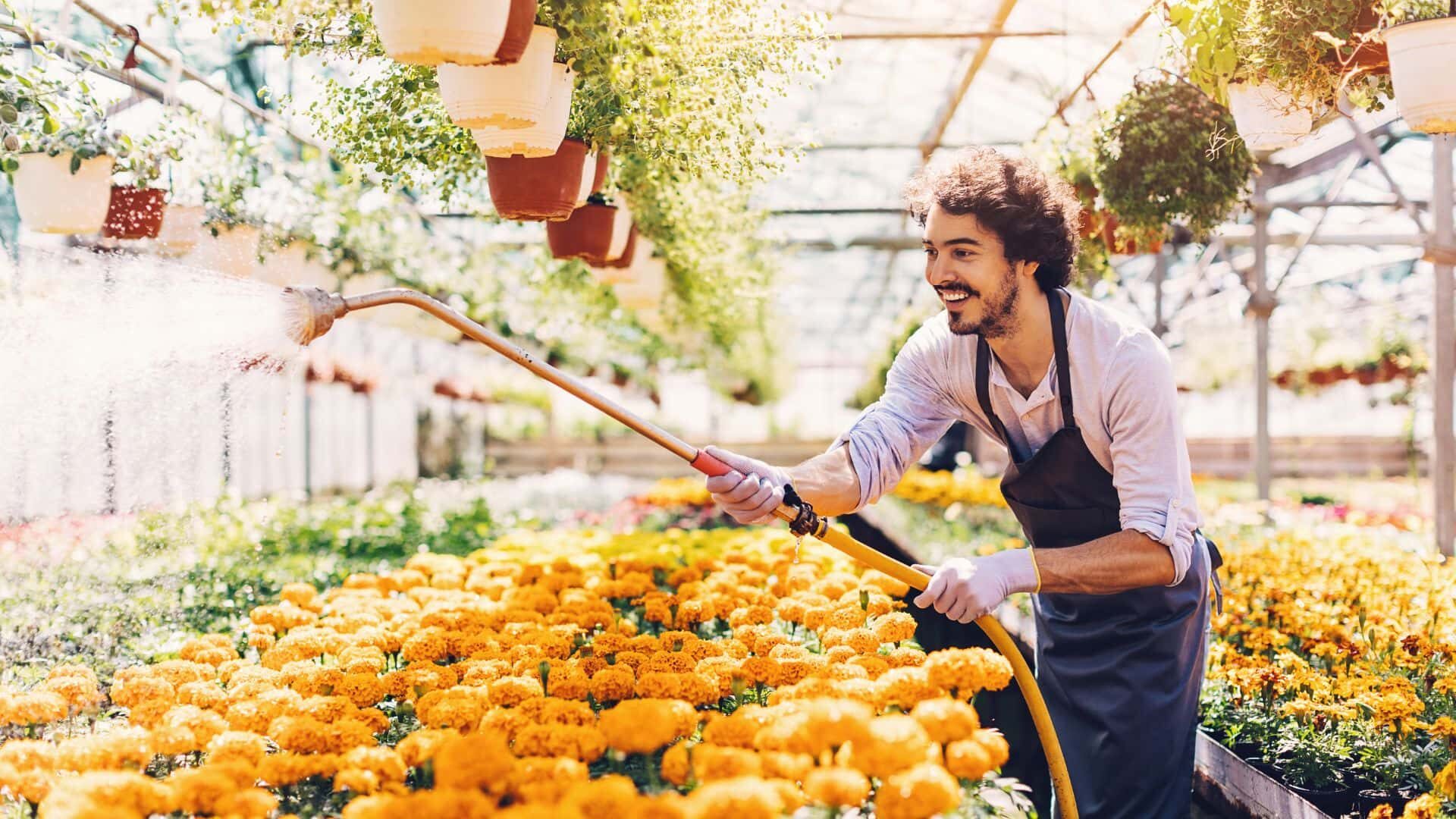 What Animals Eat My Marigolds? : 15 Reasons with Solutions 