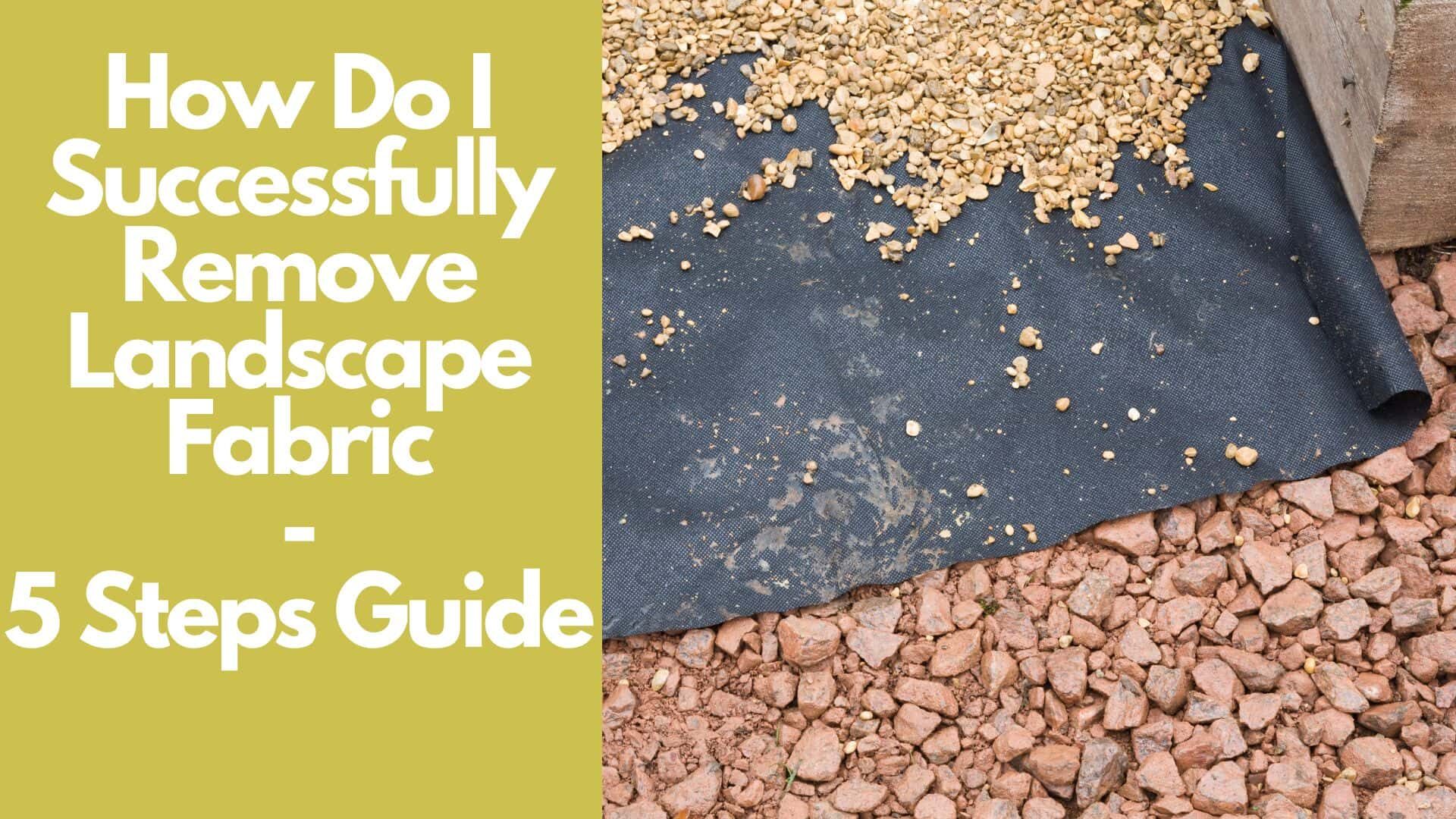 How Do I Successfully Remove Landscape Fabric: 5 Steps Guide 