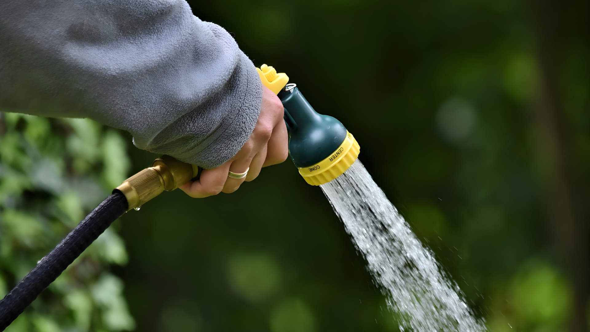 10 Proven Tips to Water Drought-Resistant Gardens in Summer