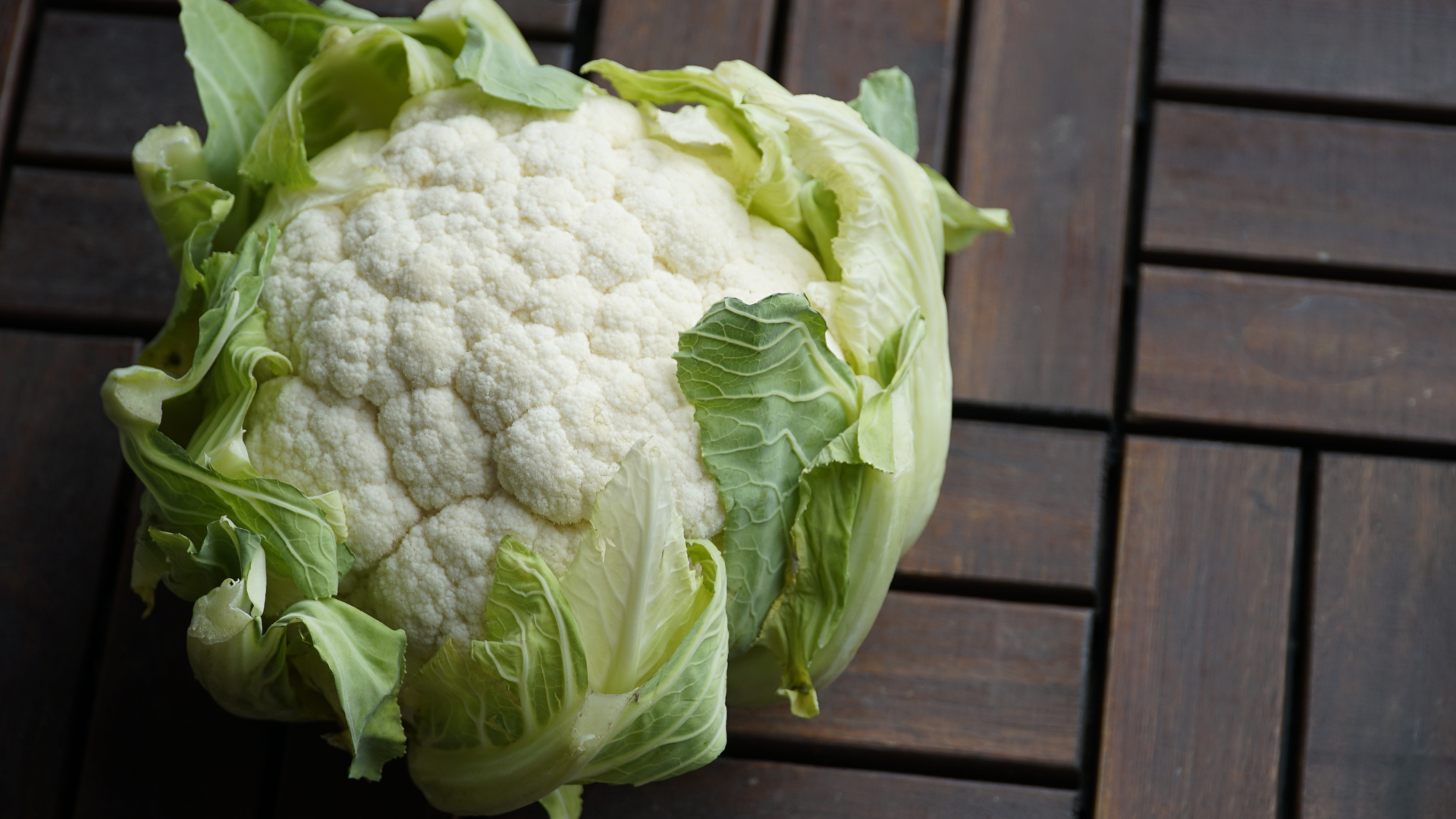How to Grow Cauliflower Indoors from Seeds: 10 Easy Steps 3 How to Grow Cauliflower Indoors from Seeds: 10 Easy Steps