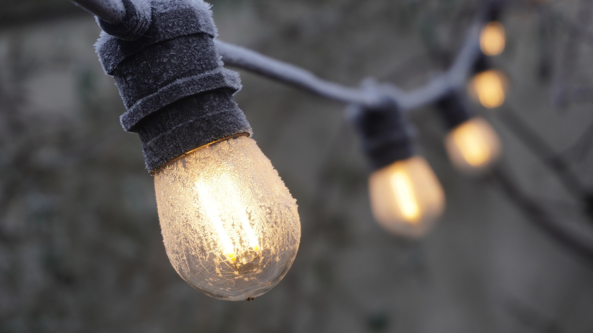 How to Light a Moonlight Garden Sustainably? | 10 Eco Tips 3 How to Light a Moonlight Garden Sustainably? | 10 Eco Tips