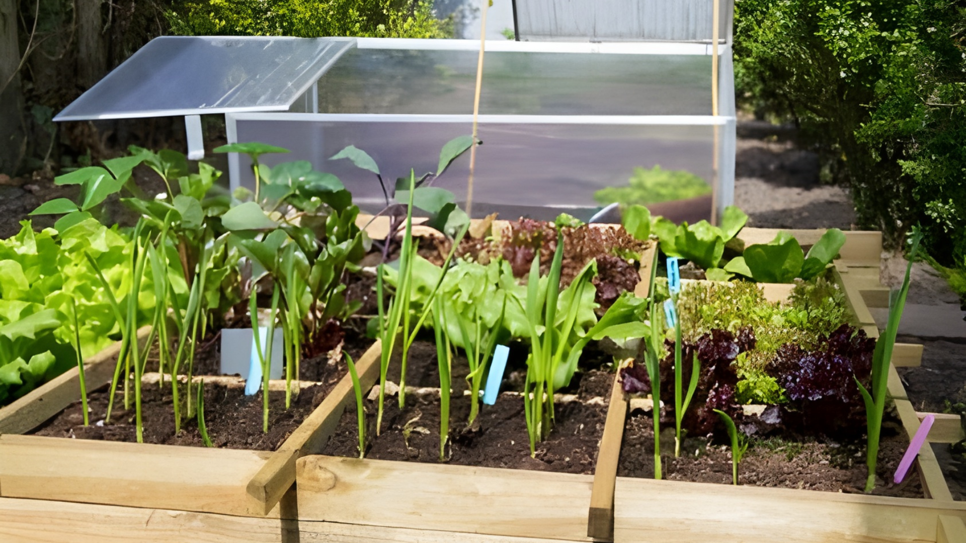 Square Foot Gardening: 10 Must-Know Pros & Cons for Success