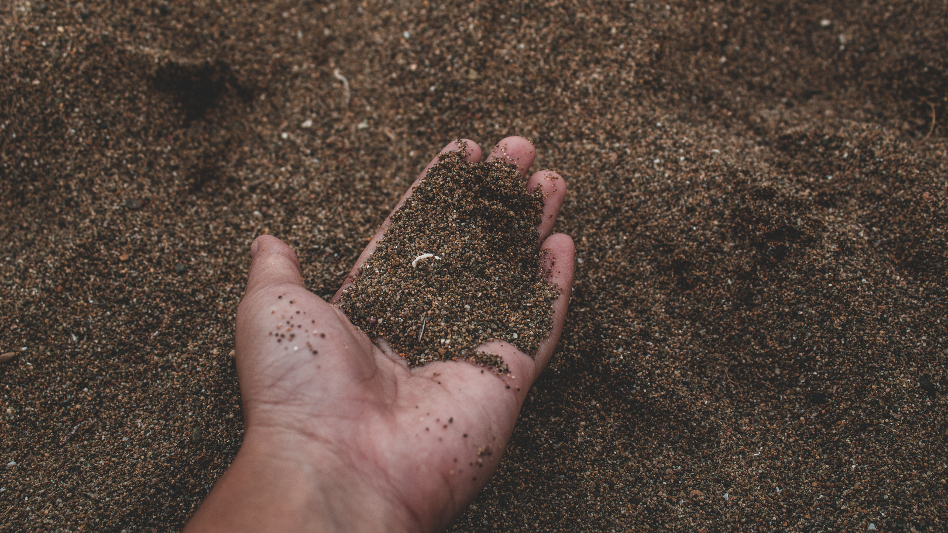 How to Amend Sandy Soil for a Vegetable Garden: Proven Tips
